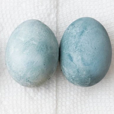 Blue eggs.