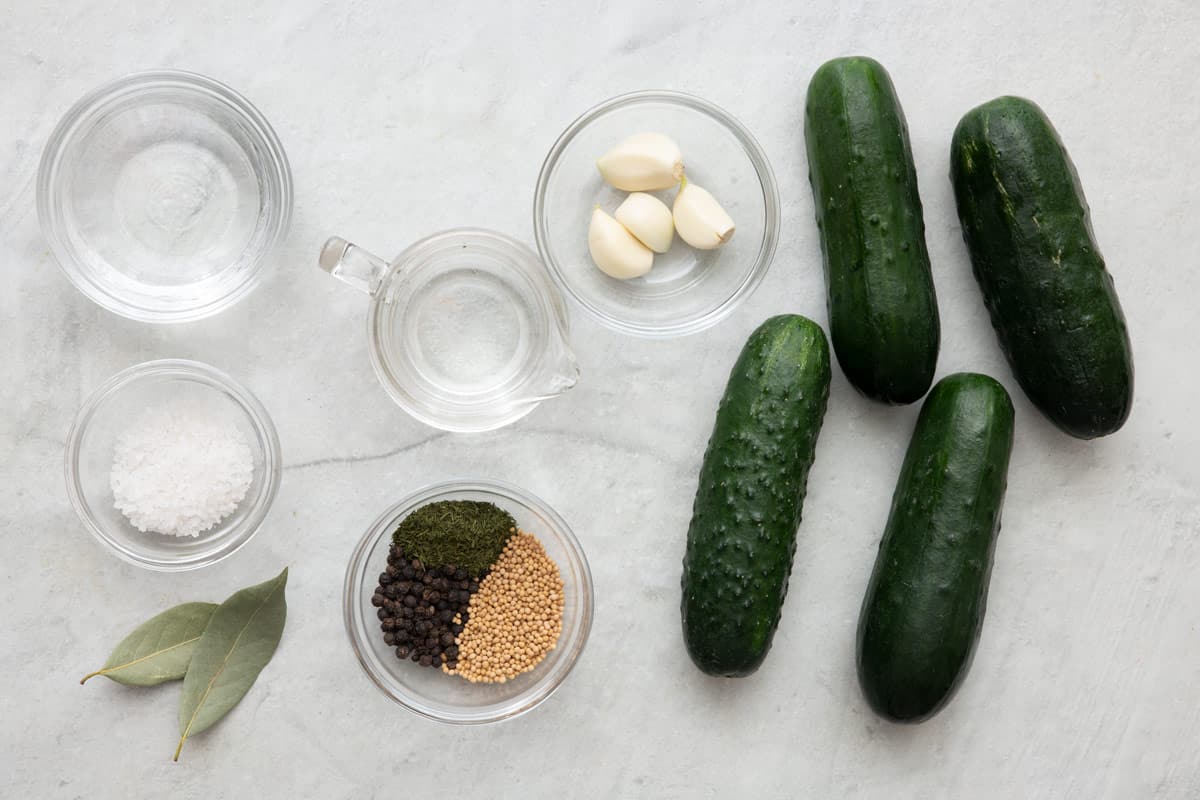 Ingredients for recipe before prepping: vinegar, water, salt, bay leaves, spices, garlic, and pickling cucumbers.