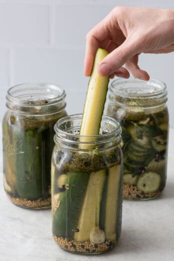 Hand lifting out a pickle spear from jar with slices and whole pickles in the background.