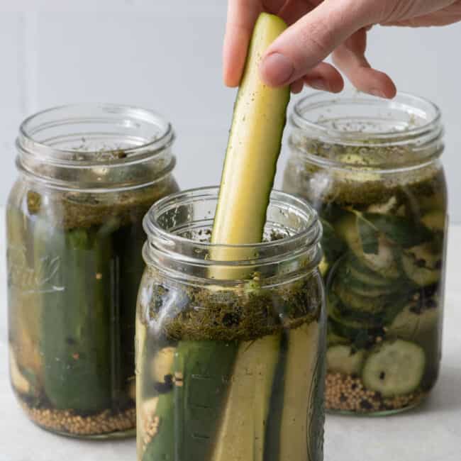 Hand lifting out a pickle spear from jar with slices and whole pickles in the background.