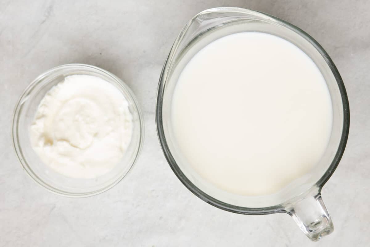 Ingredients for recipe: milk and plain yogurt.