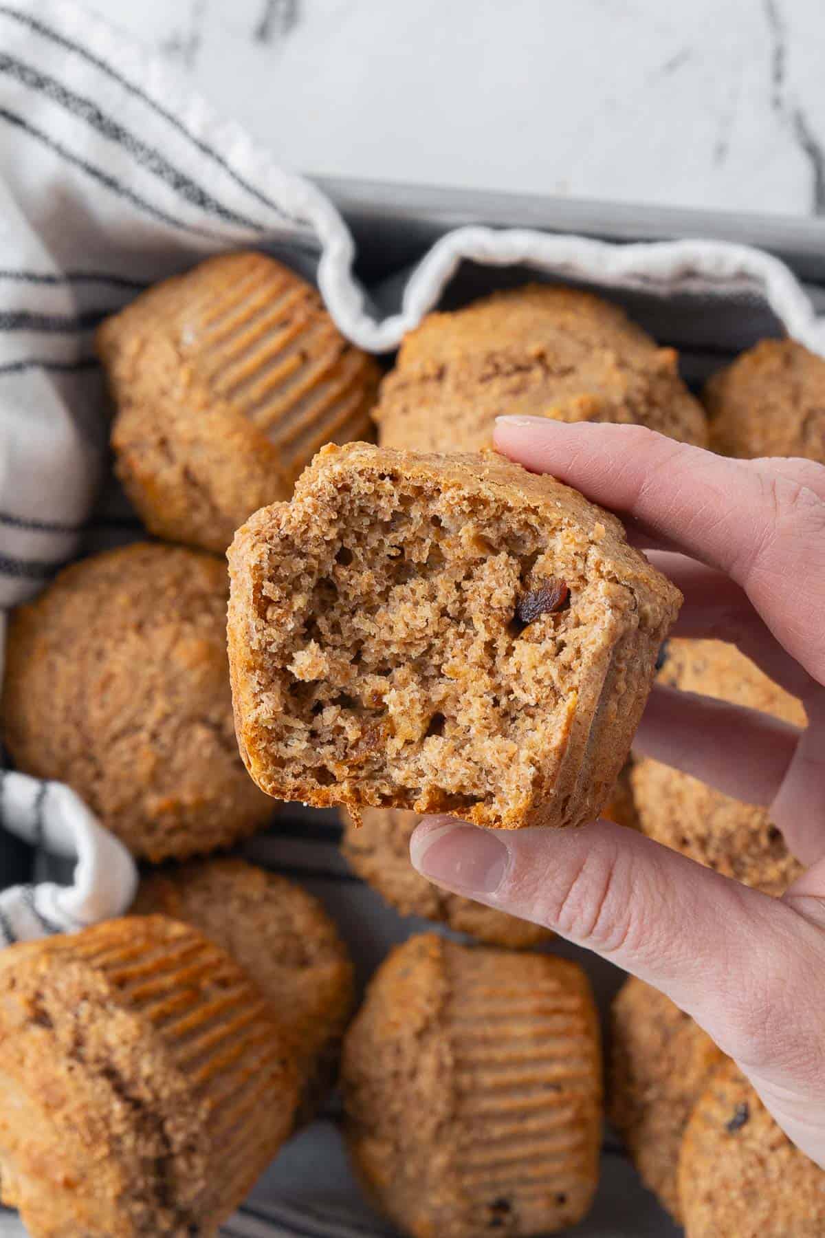 Hand holding a bran muffin over more muffins with a bite taken out to show inside texture.