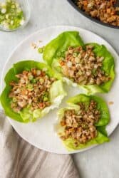 Chicken Lettuce Wraps {30-Minute Meal!} - Feel Good Foodie