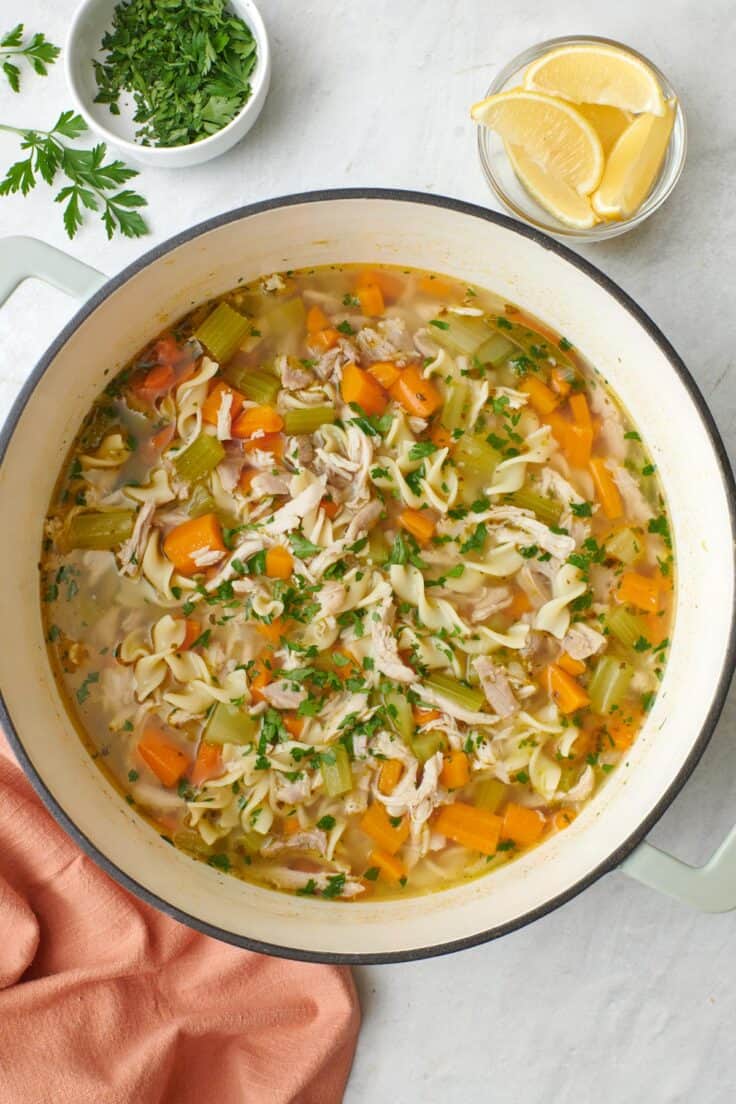 Chicken Noodle Soup {Egg Noodle Recipe} - FeelGoodFoodie