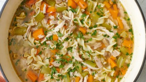 https://feelgoodfoodie.net/wp-content/uploads/2023/04/Chicken-Noodle-Soup-TIMG-480x270.jpg