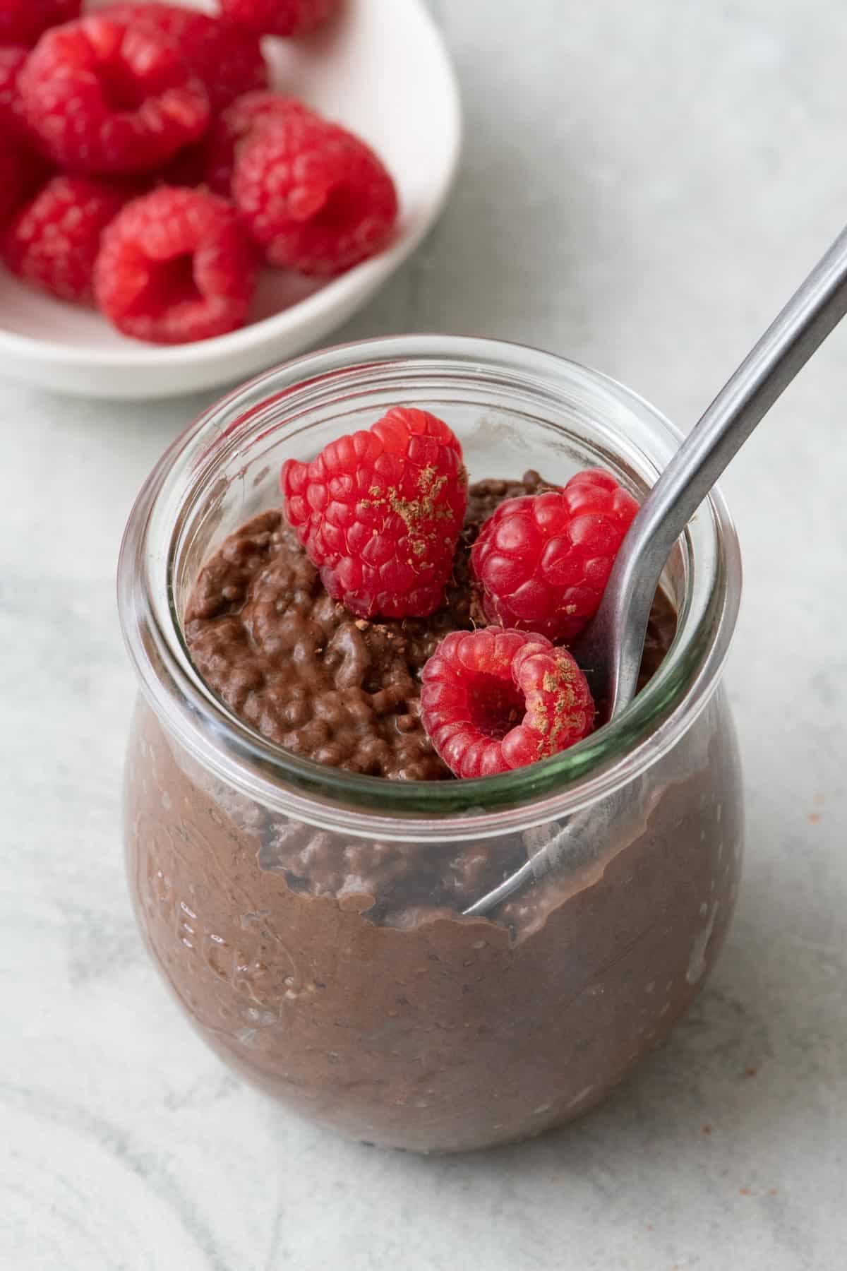 Large bowl of the chocolate chia pudding after it sets with small bow of chocolate chips on the side
