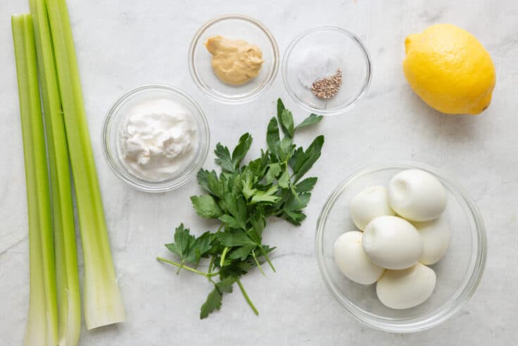 Healthy Egg Salad Greek Yogurt Recipe - Feel Good Foodie