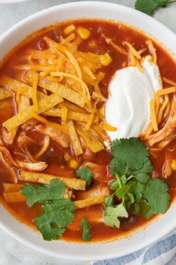 Instant Pot Chicken Tortilla Soup with a ladle lifting some up.