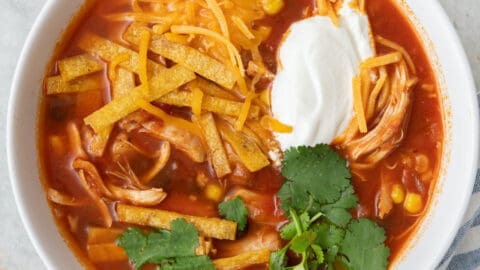 Instant Pot Chicken Tortilla Soup