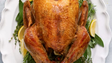 https://feelgoodfoodie.net/wp-content/uploads/2023/04/Thanksgiving-Turkey-08b-480x270.jpg