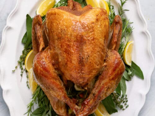 Easy Thanksgiving Turkey Recipe {Fail-Proof} - FeelGoodFoodie