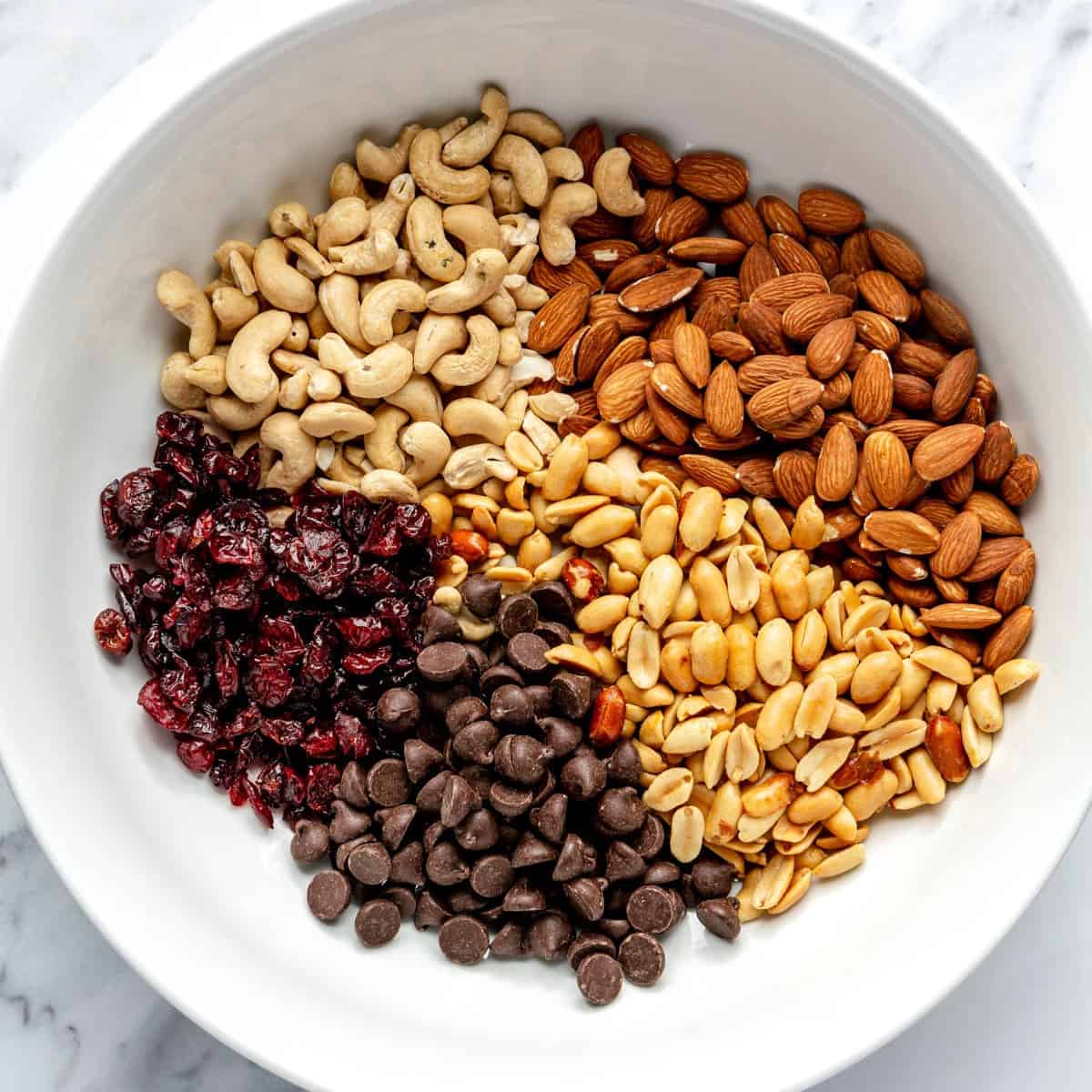 Almonds, peanuts, cashews, cranberries, and chocolate chips in a mixing bowl.