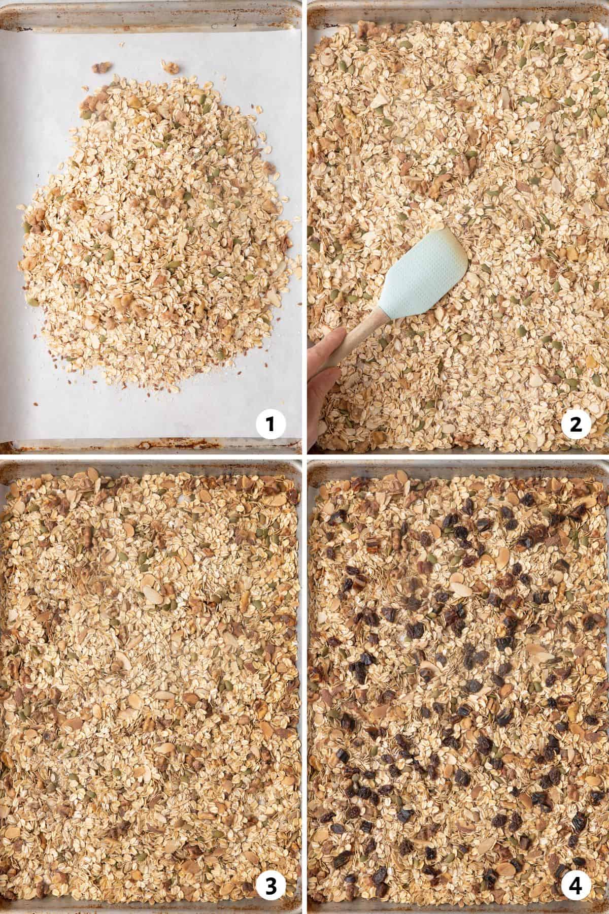 4 image collage making recipe: mixture in a pile on baking sheet, a spatula spreading the mixture into an even layer, after baking, after added chopped dates and raisins.