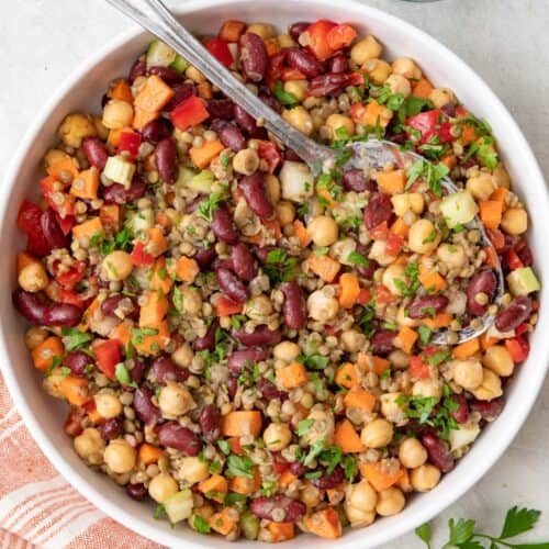 Red Kidney Bean Salad.