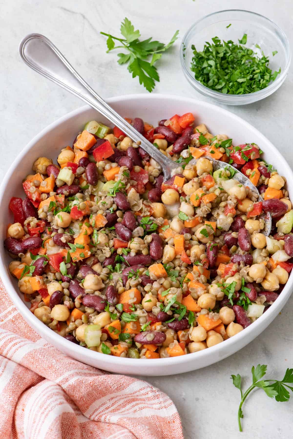 A spoon dipped in to a serving bowl of a hearty protein salad with lentils, beans, chickpeas, and chopped vegetables.