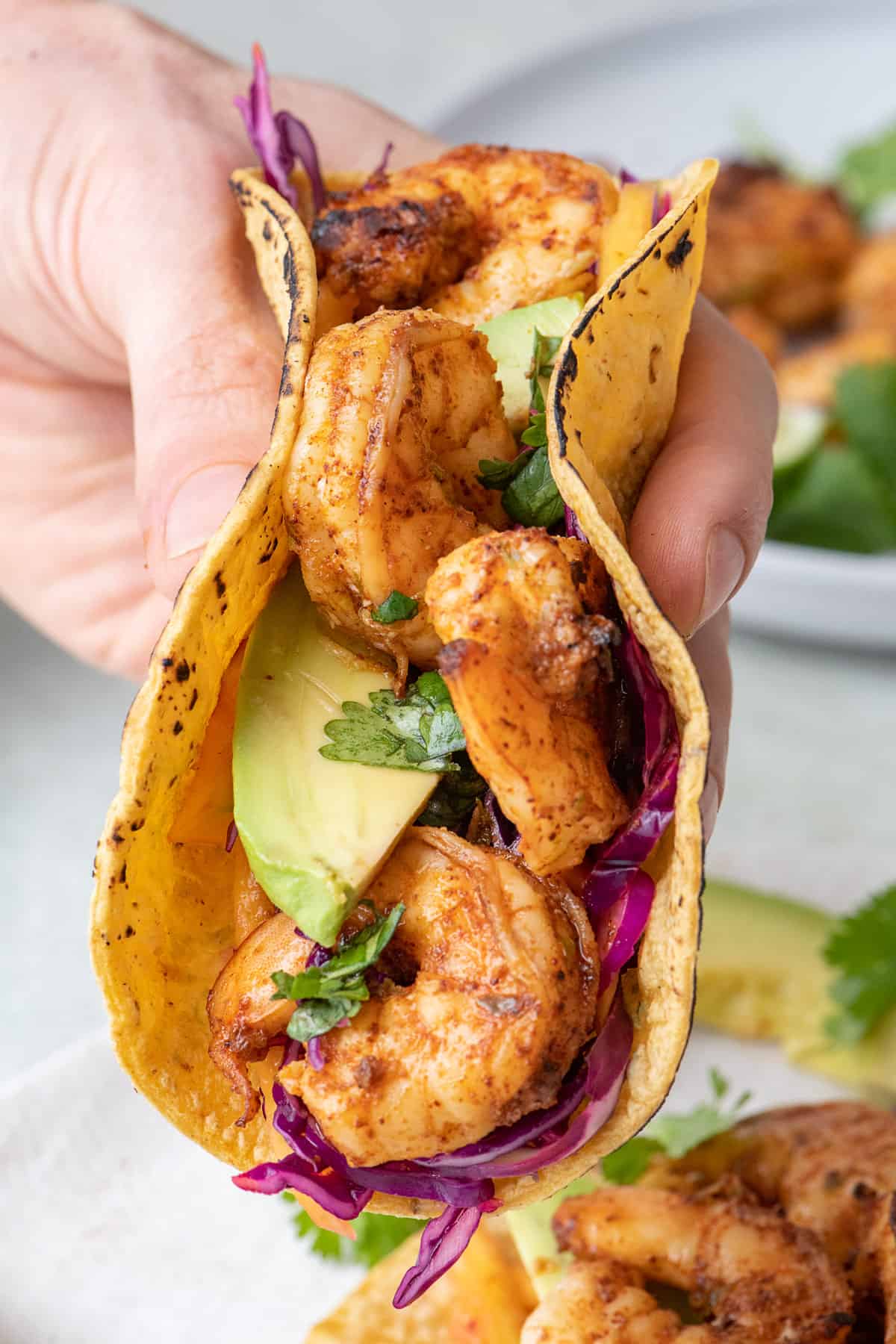 Hand holding a grilled shrimp taco.
