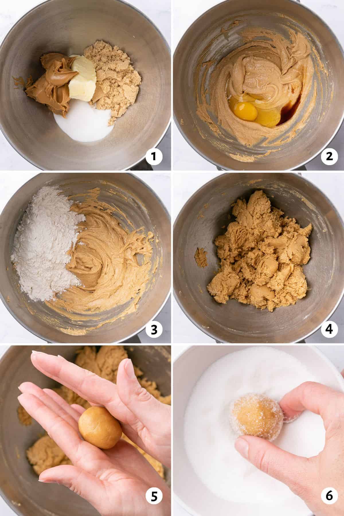 6 image collage making cookie dough: 1- butter, peanut butter, and sugars in the bowl of a stand mixer before creaming, 2- after creaming with an egg and vanilla added, 3- after combining with dry ingredients on top, 4- final dough with no flour streaks remaining, 5- hands rolling a dough ball in between palms, 6- hand coating a dough ball in sugar.