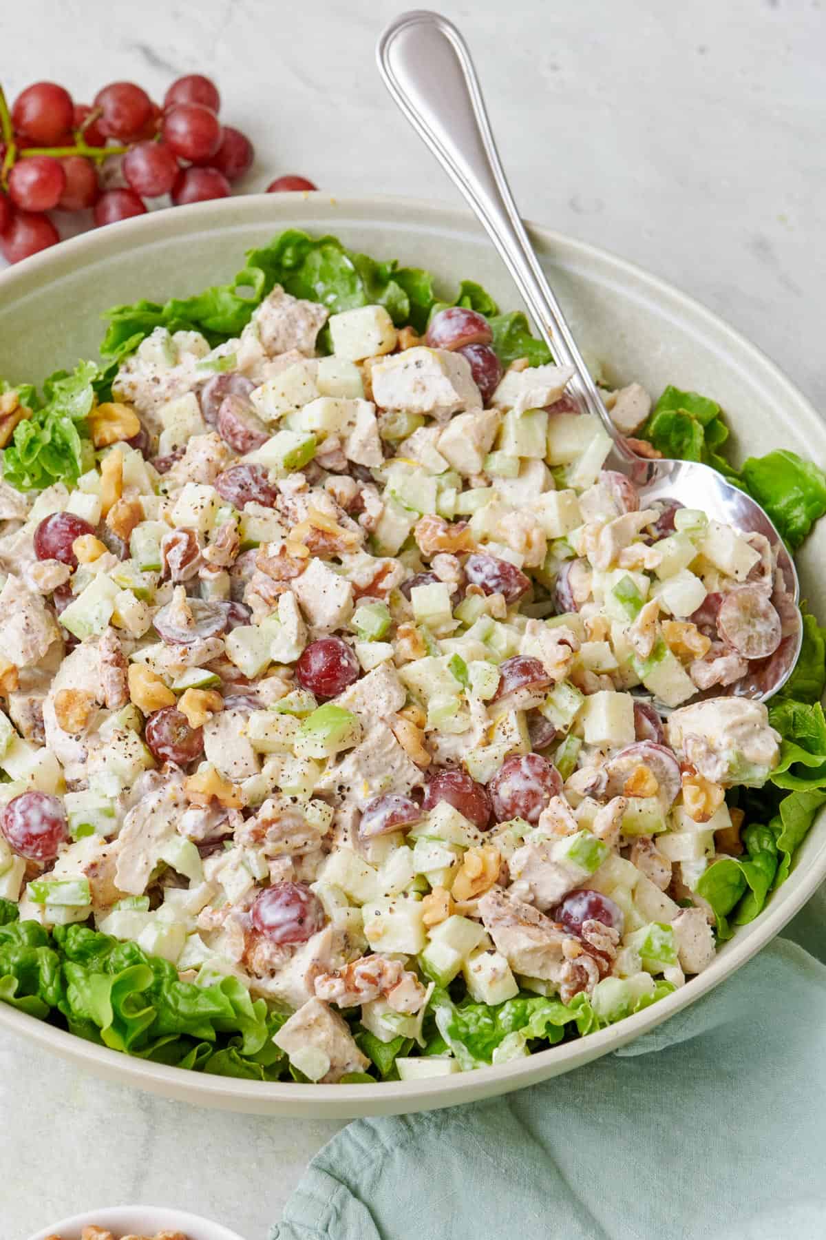 Waldorf salad in a large shallow bowl with a spoon dipped in.