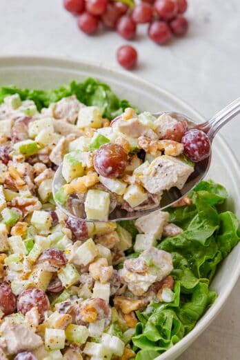 Chicken Waldorf Salad {Yogurt Dressing!} - FeelGoodFoodie