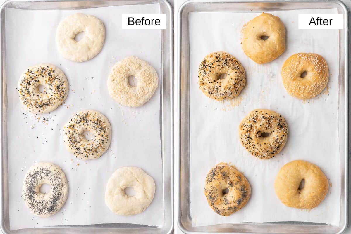 2 image collage showing bagels with different seasonings on a parchment paper lined baking sheet before and after baking.