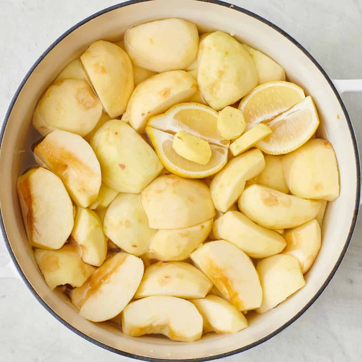 Apples, lemon, ginger, cloves, cinnamon sticks, star anise, and brown sugar in a large stock pot.