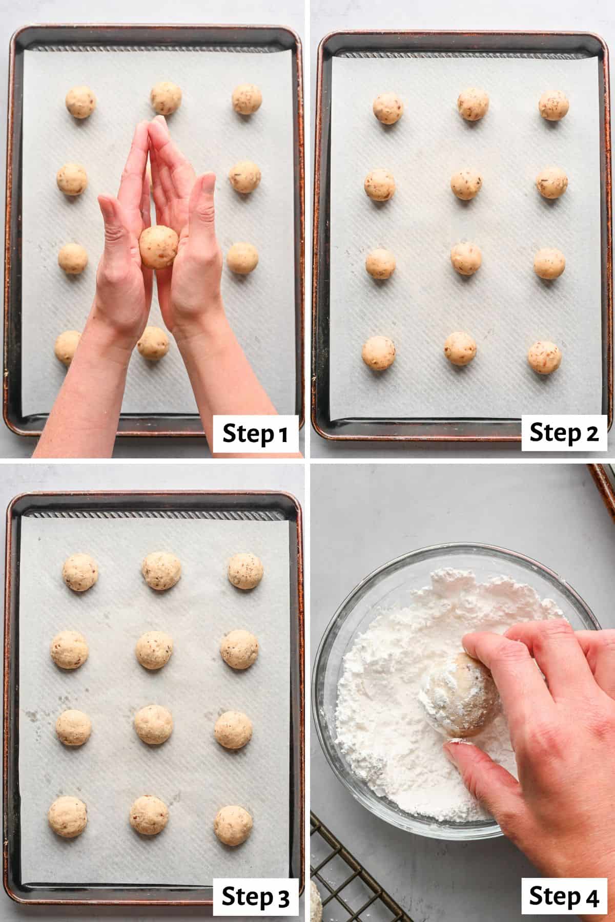 4 image collage making recipe: step 1- hand rolling cookie dough into a ball over a tray of more, step 2- cookies before baking, step 3- cookies after baking, step 4- rolling baked cookie in powdered sugar.