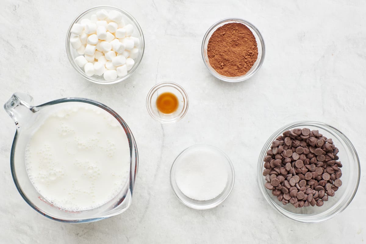 Ingredients for recipe in individual containers: milk, marshmallows, vanilla, cocoa powder, sugar, and chocolate chips.