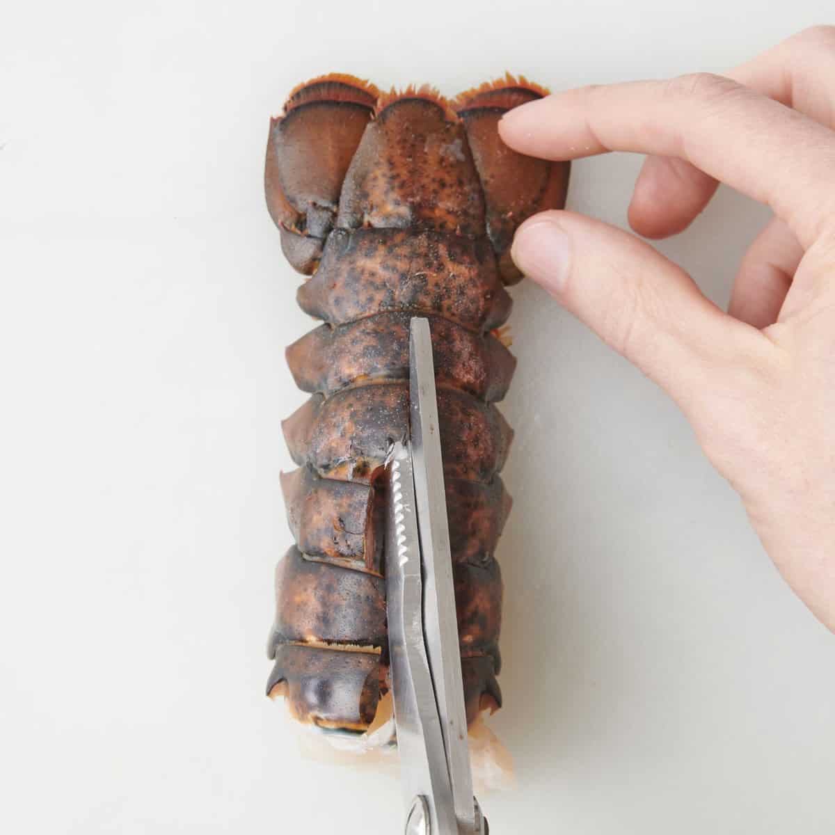 Cutting shell with kitchen sheers.