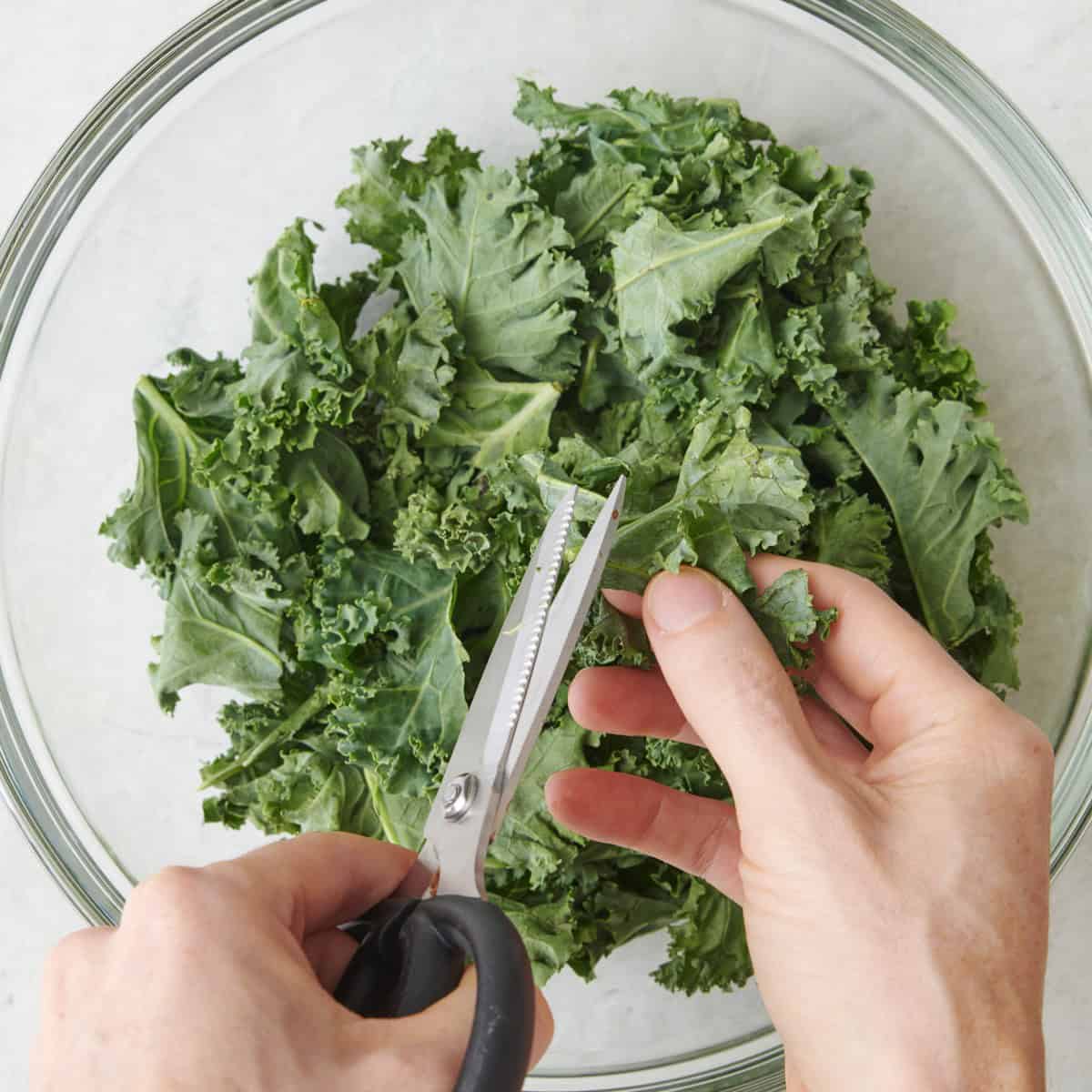 Sheers cutting leaves into pieces.