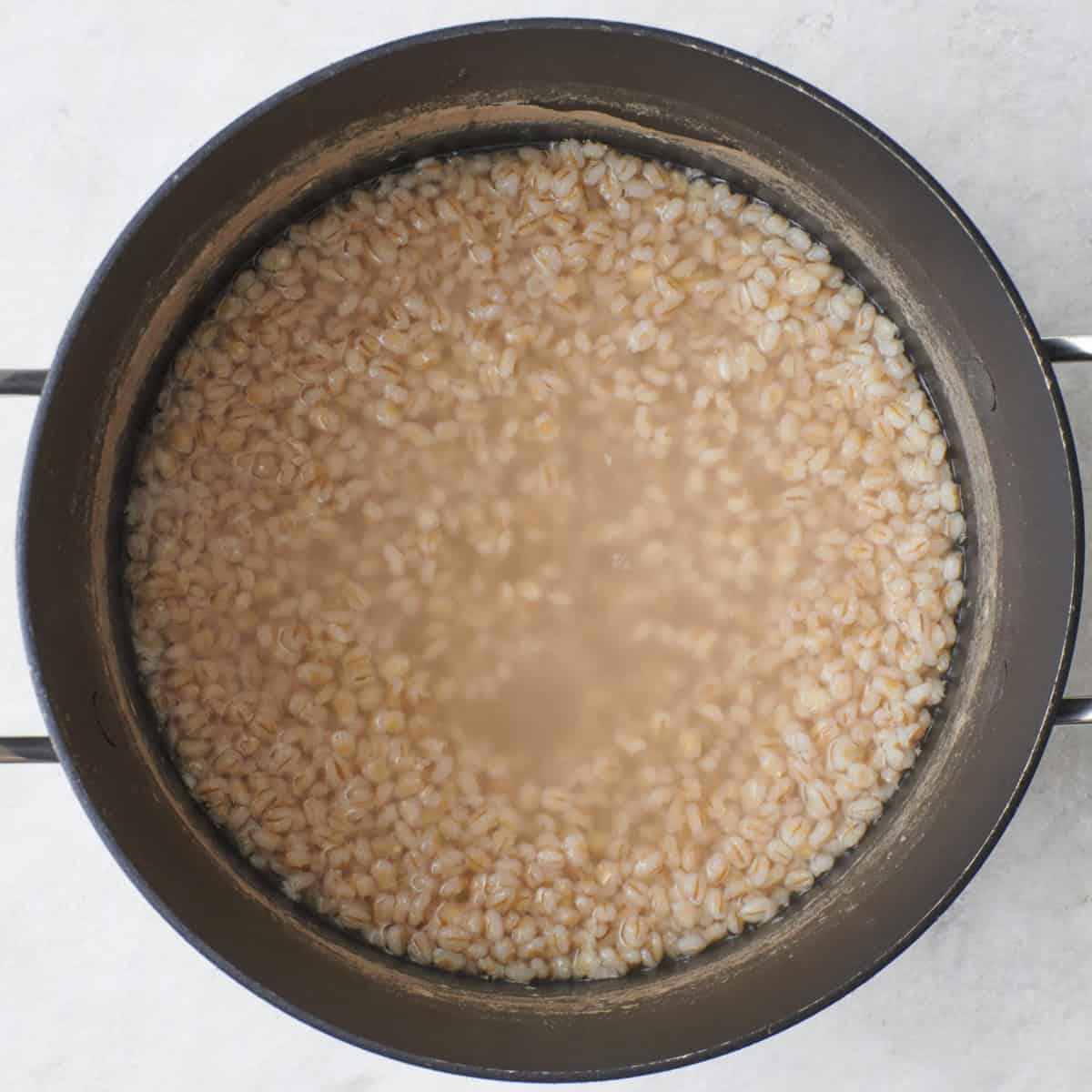 Barley in a pot while cooking.