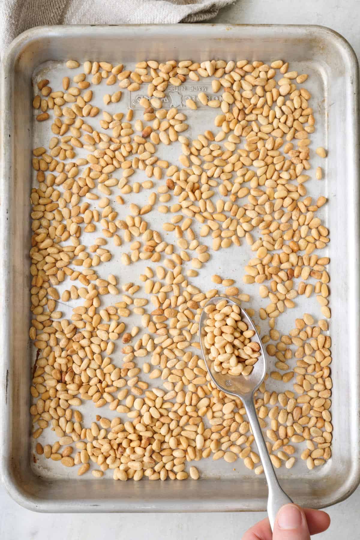 Toasted pine nuts on a sheet pan with a spoon lifting some up.