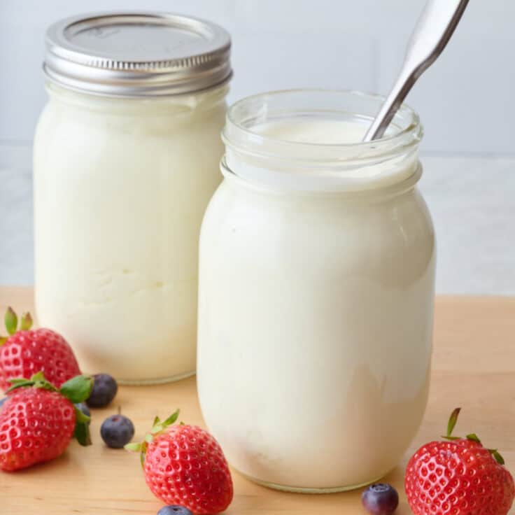 Instant Pot Yogurt - Feel Good Foodie