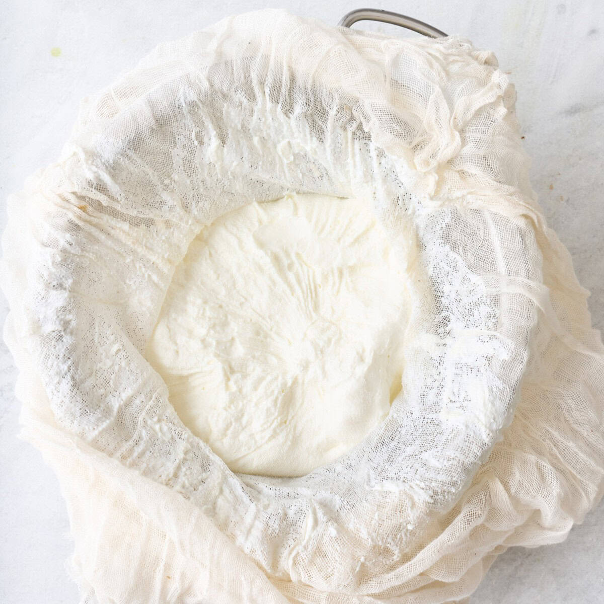 Cheesecloth opened after resting for 48 hours to show thickness.