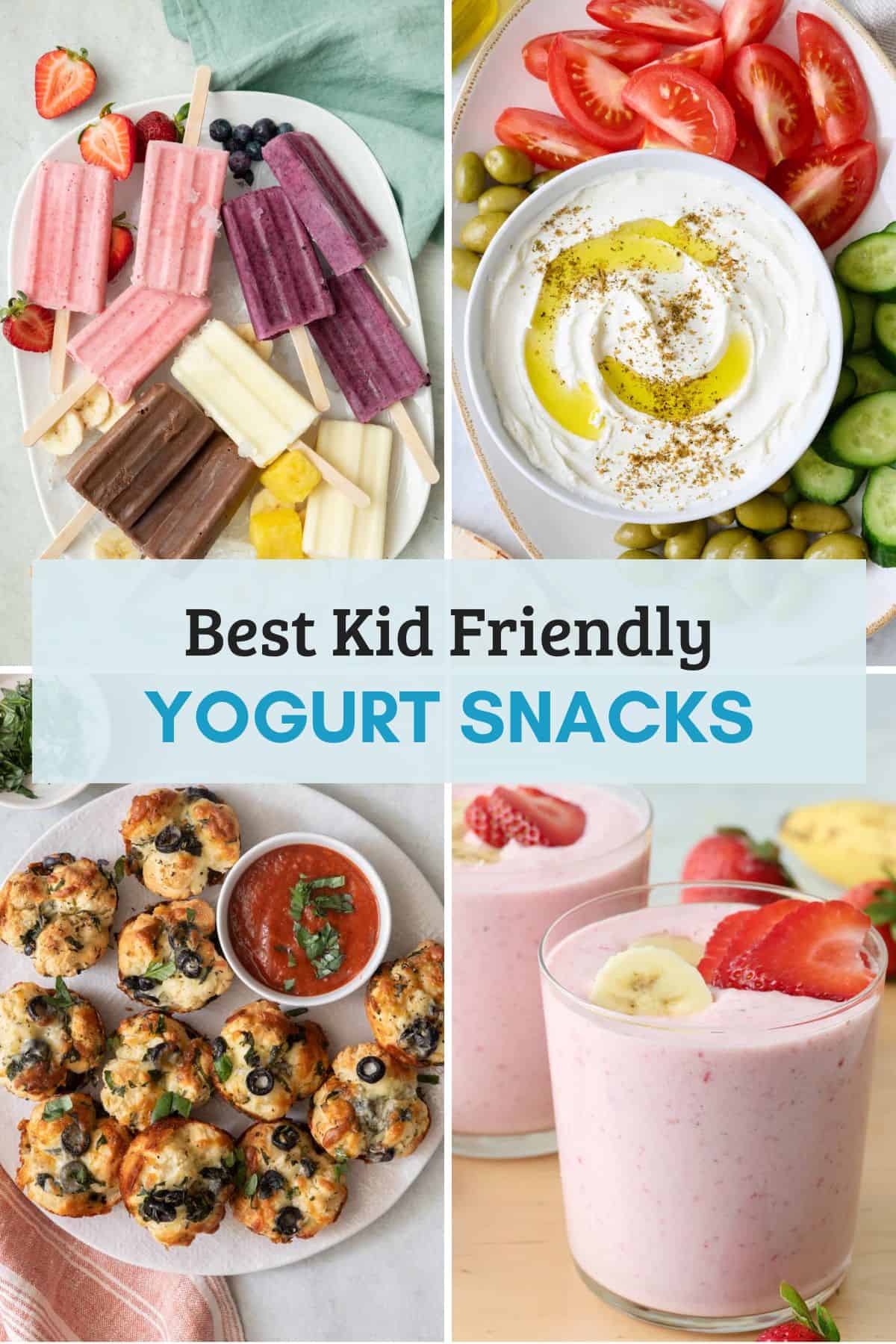 25+ Child Pleasant Yogurt Snacks