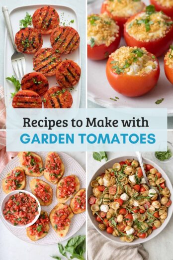 Collage or recipe roundup for recipes to make with garden tomatoes