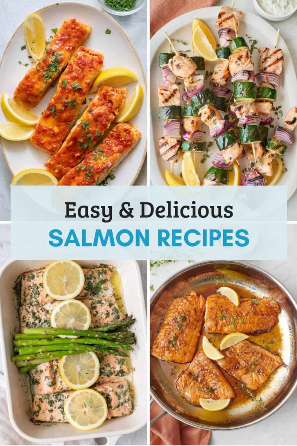 25+ Salmon Recipes - Feel Good Foodie