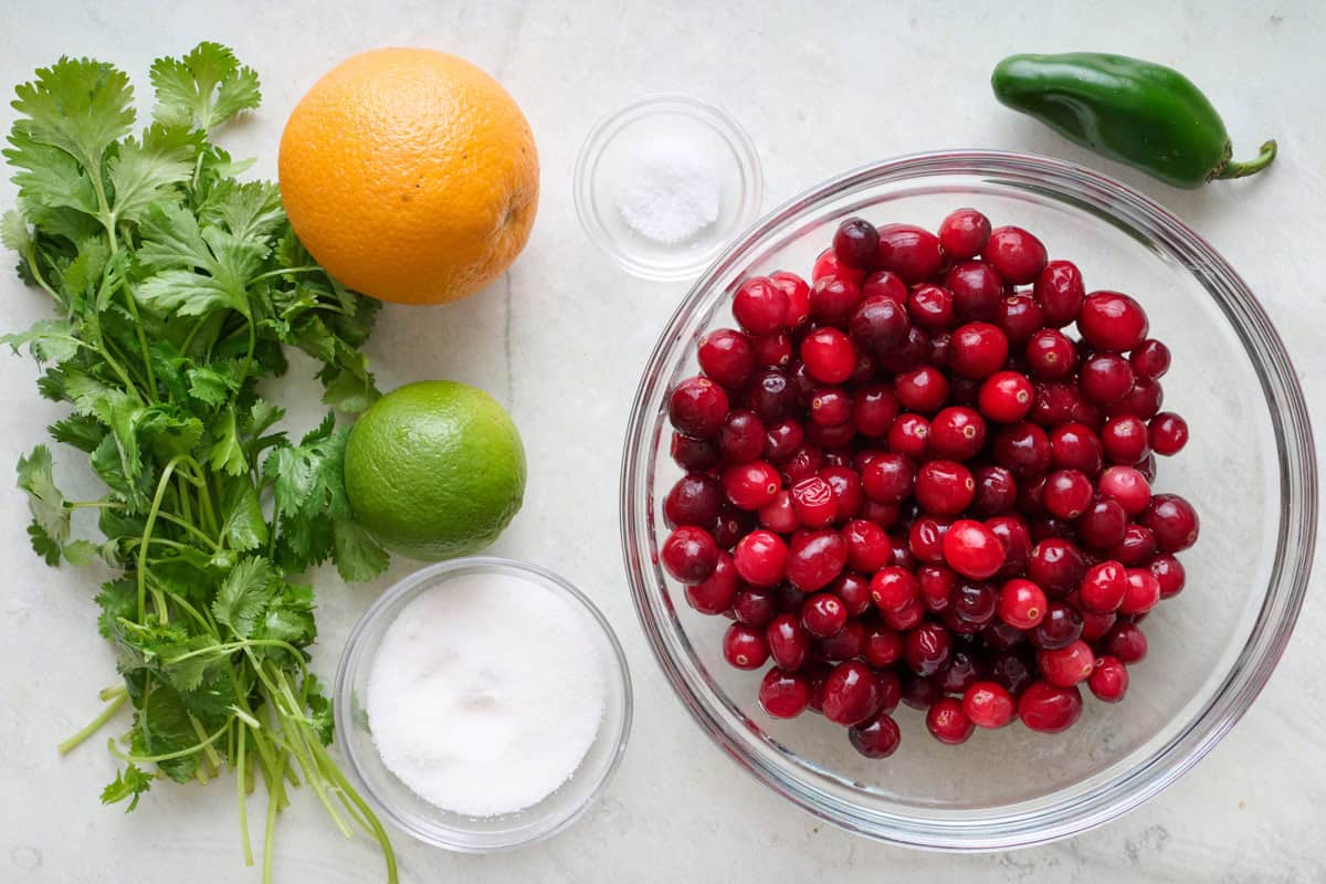 Ingredients for recipe: fresh cranberries, cilantro, sugar, jalapeno, orange, lime, and salt.