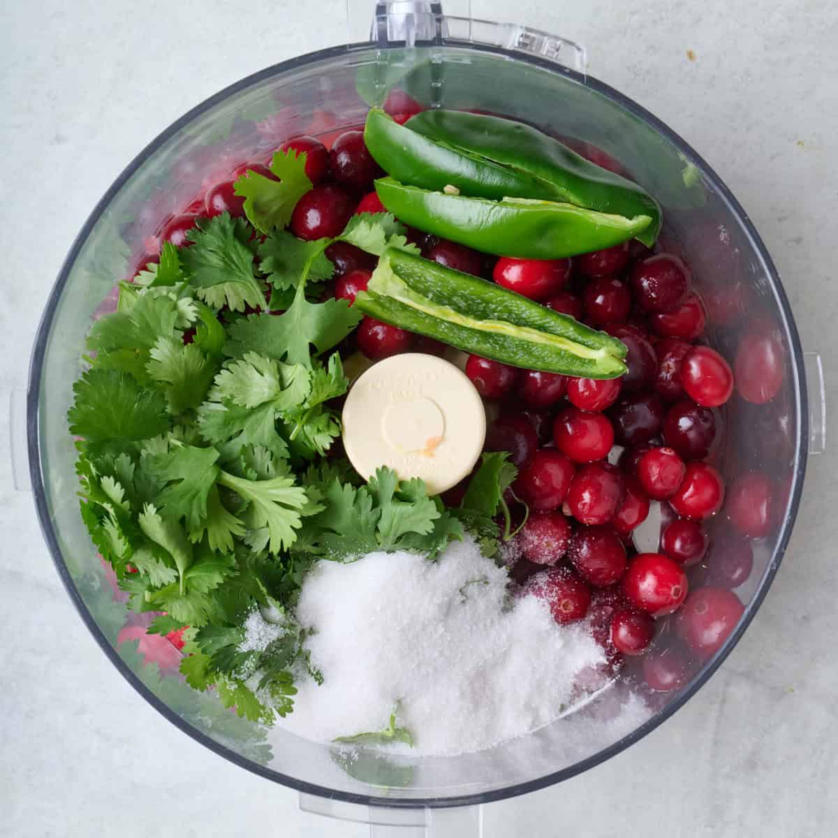 Salsa ingredients in the bowl of a food processor before processing.