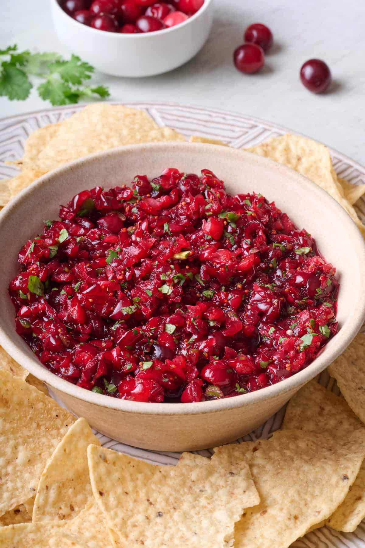 Cranberry salsa on a platter with tortilla chips.