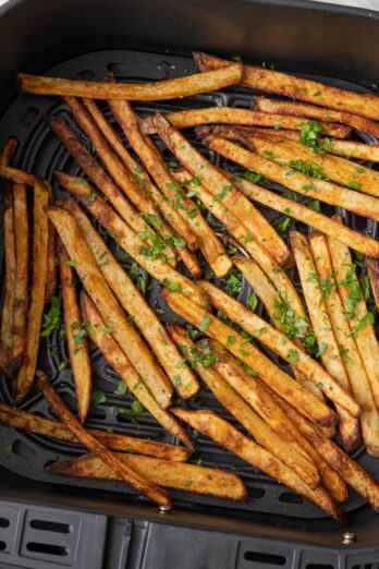 Air fryer french fry recipe.