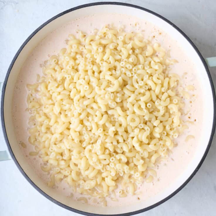 Greek Yogurt Mac and Cheese