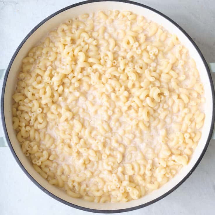 Greek Yogurt Mac and Cheese