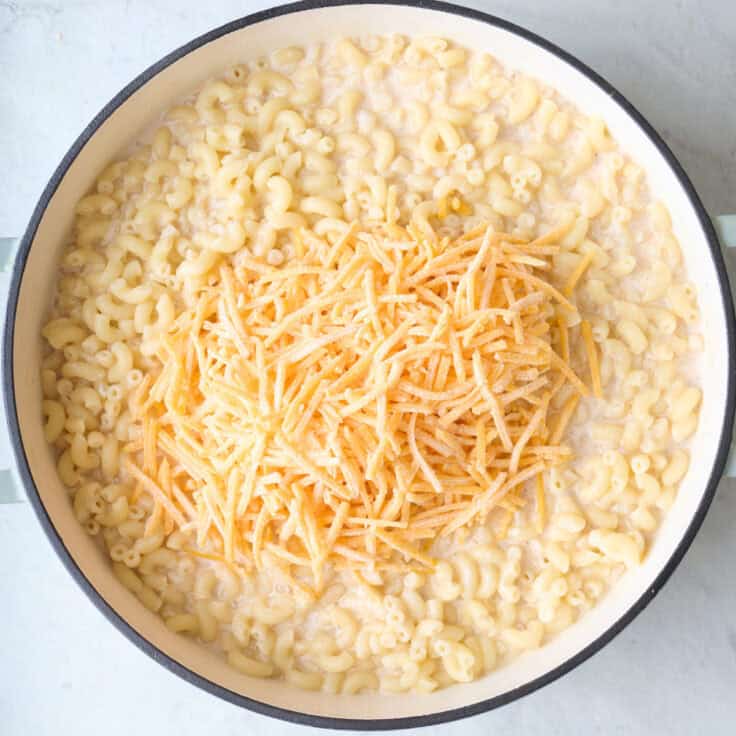 Greek Yogurt Mac and Cheese