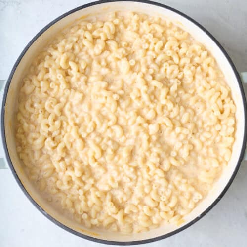 Greek Yogurt Mac and Cheese