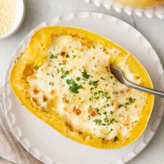 Spaghetti squash alfredo recipe.