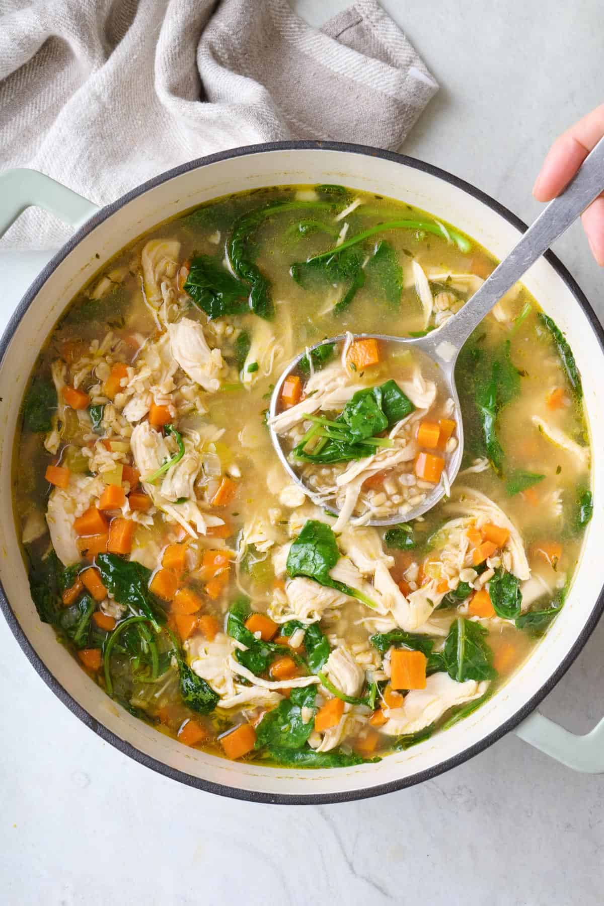 Chicken Barley Soup in pot with ladle dipped inside.