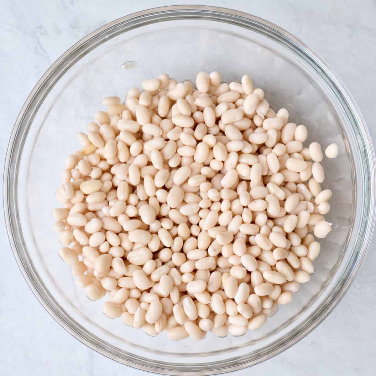 Dried navy beans in a bowl.