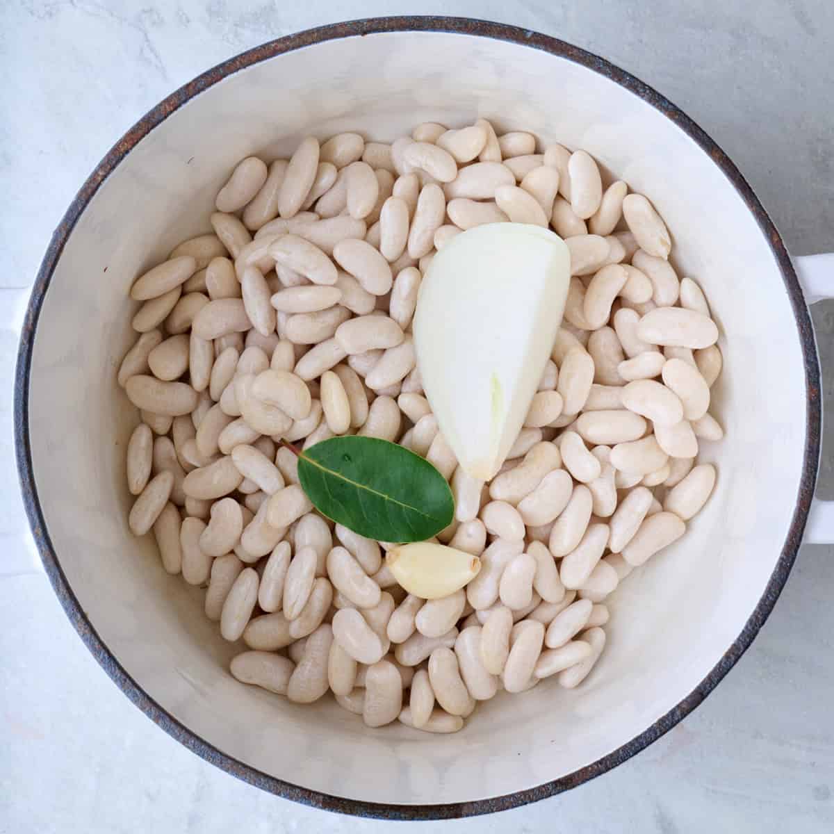 Soaked cannellini beans in a pot with onion, garlic, and a bay leaf.