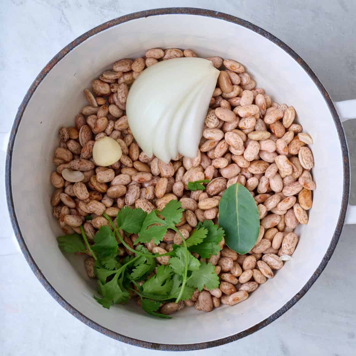 Soaked pinto beans in a pot with onion, garlic, cilantro, and a bay leaf.