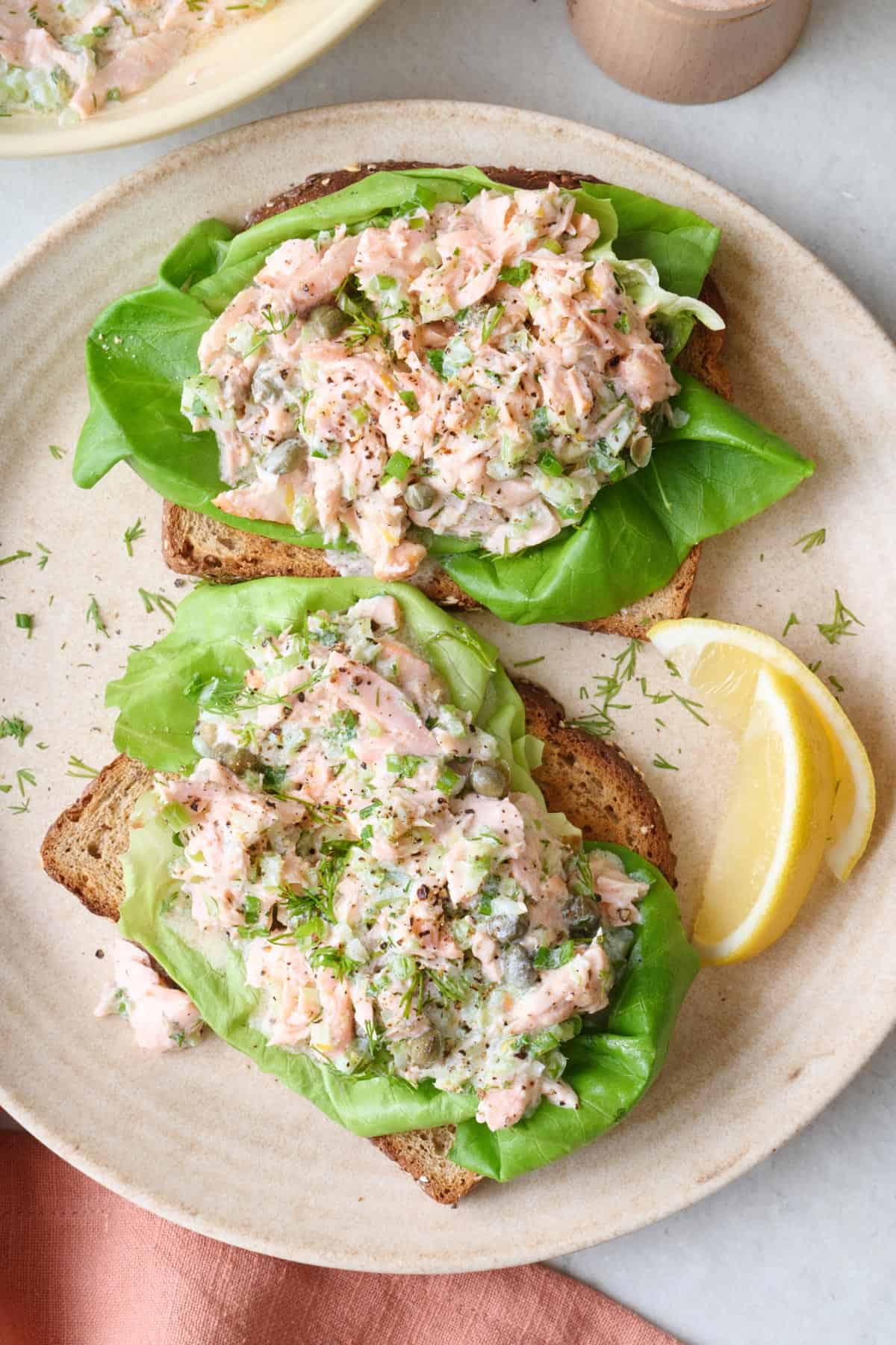 Salmon salad served on an open faced sandwich.